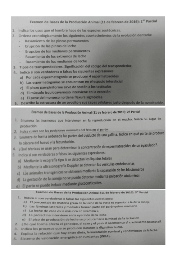Miniatura del documento examen-4.pdf