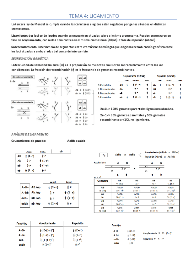 Miniatura del documento Tema-4.pdf