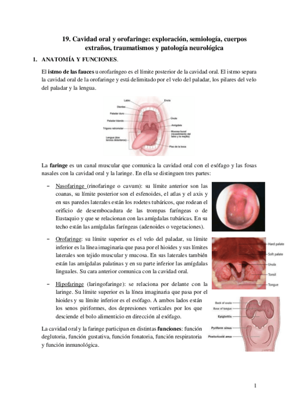 Miniatura del documento CO y OF. Exploración semiología...