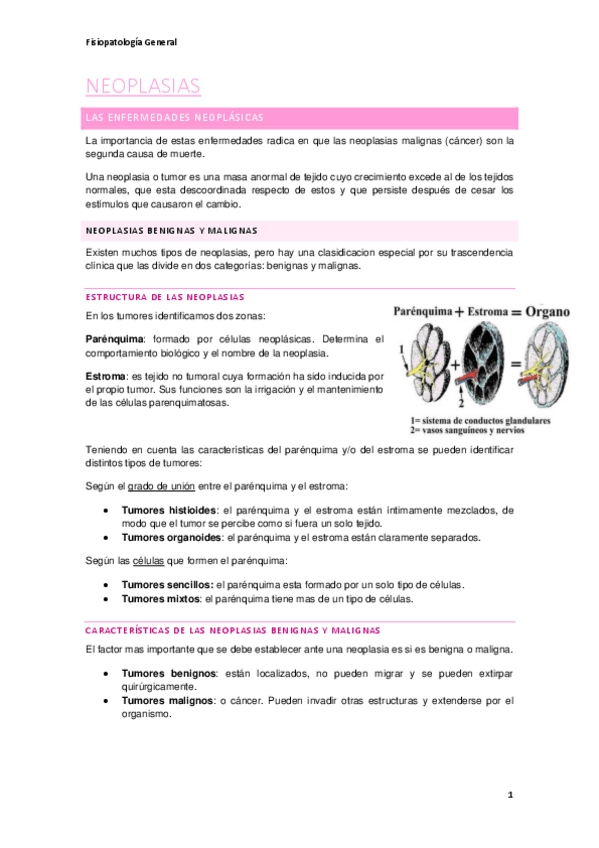 Miniatura del documento Neoplasias.pdf