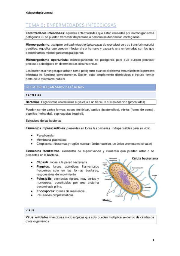 Miniatura del documento infecciosas.pdf