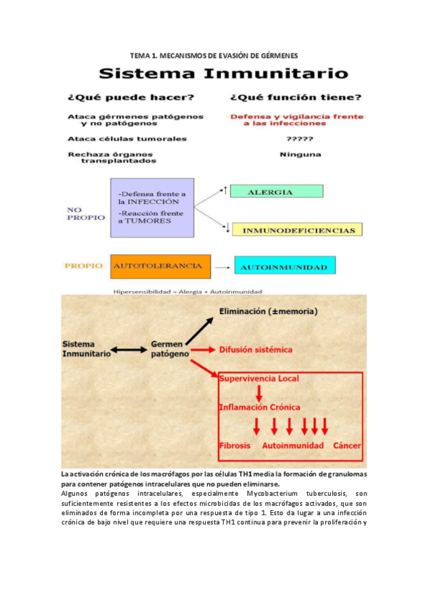 Miniatura del documento TEMA 1.pdf