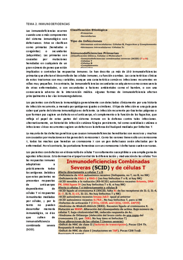 Miniatura del documento TEMA 2.pdf