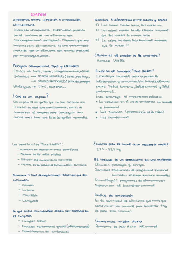 Miniatura del documento Doc2.pdf