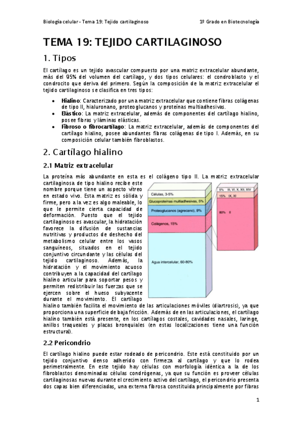 Miniatura del documento Tema-19.pdf