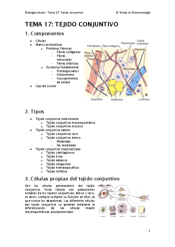 Miniatura del documento Tema-17.pdf