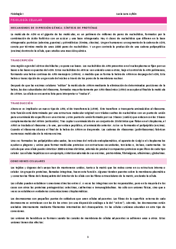 Miniatura del documento TEMARIO-COMPLETO.pdf