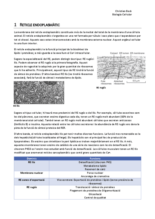 Miniatura del documento Tema-3-Reticle-Endoplasmatic.pdf