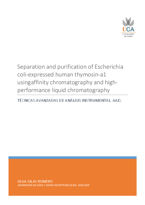 Miniatura del documento AAD_SALASROMEROOLGA_TAAI.pdf
