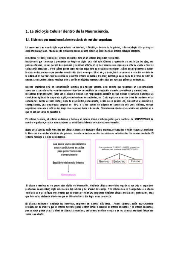 Miniatura del documento 1.pdf