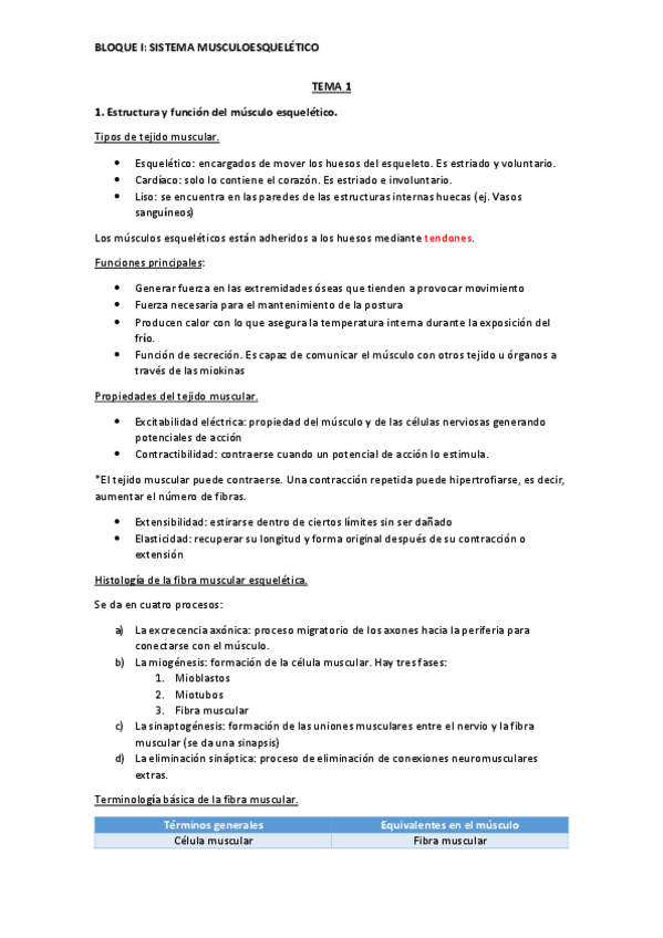 Miniatura del documento Sistema-Musculoesqueletico.pdf