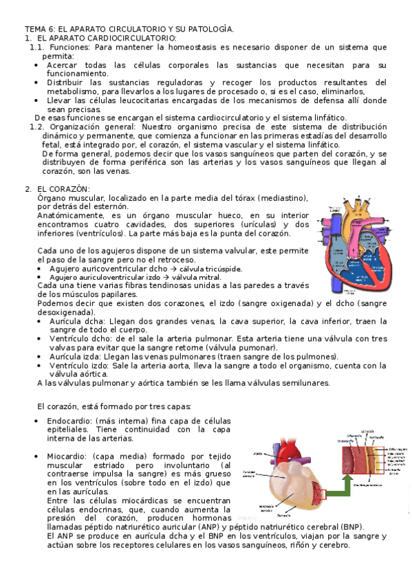 Miniatura del documento TEMA-6-resumen.docx