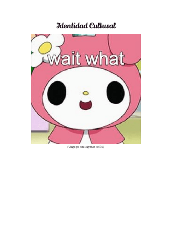 Miniatura del documento Identidad-cultural.pdf