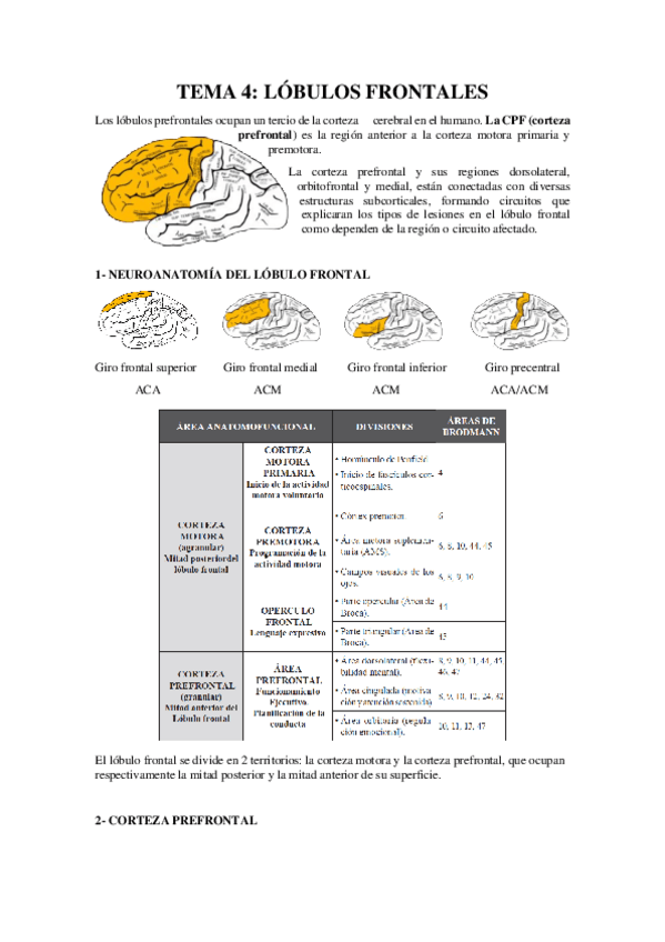 Miniatura del documento TEMA-4.pdf