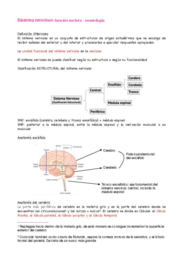 Miniatura del documento funcion-motora-semiologia.pdf