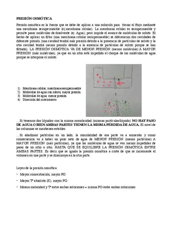 Miniatura del documento liquidos.pdf