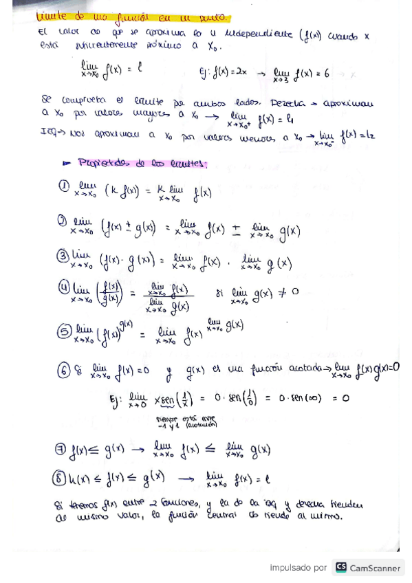 Miniatura del documento LIMITES.pdf