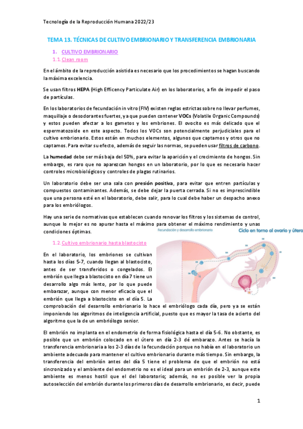 Miniatura del documento Tema-13.pdf