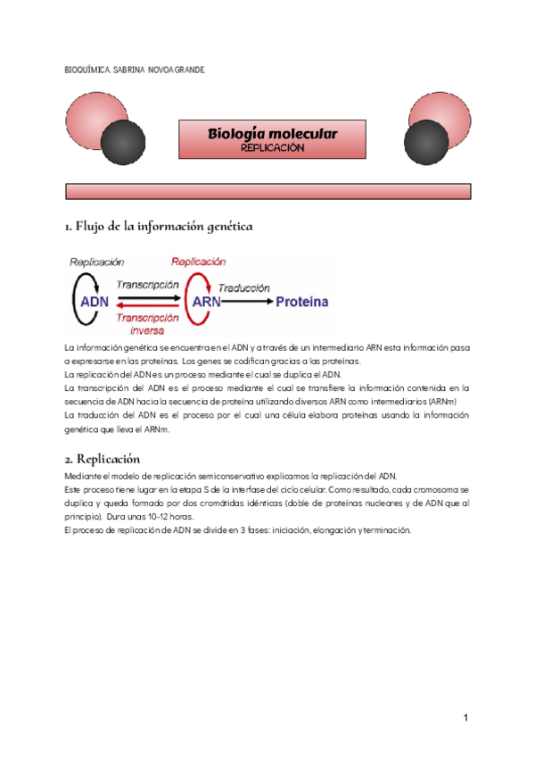 Miniatura del documento biologia-molecular.pdf