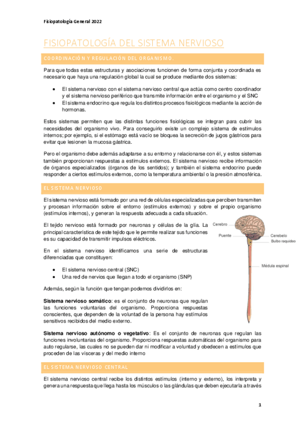 Miniatura del documento Nervioso.pdf