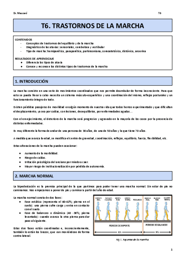 Miniatura del documento T6cast.pdf