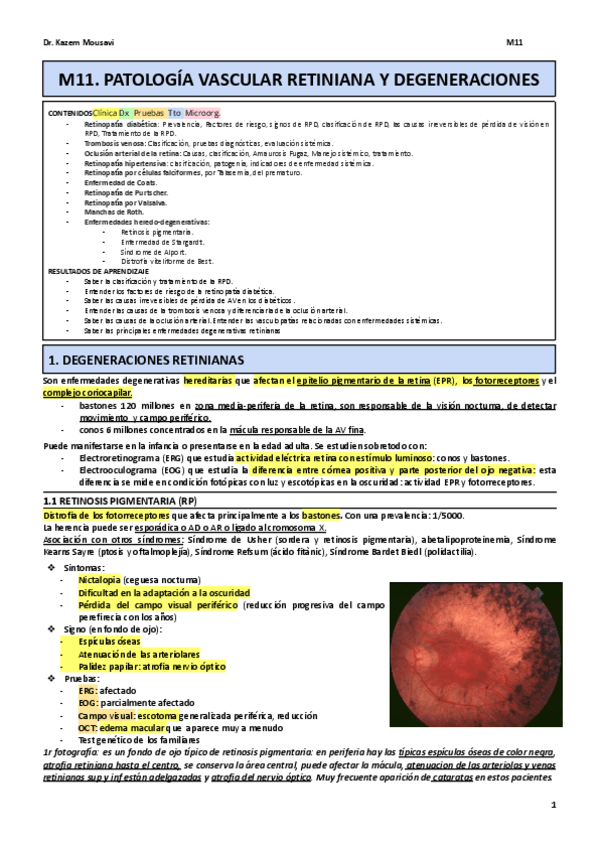 Miniatura del documento M11-Vascular-retina-y-degeneraciones.pdf