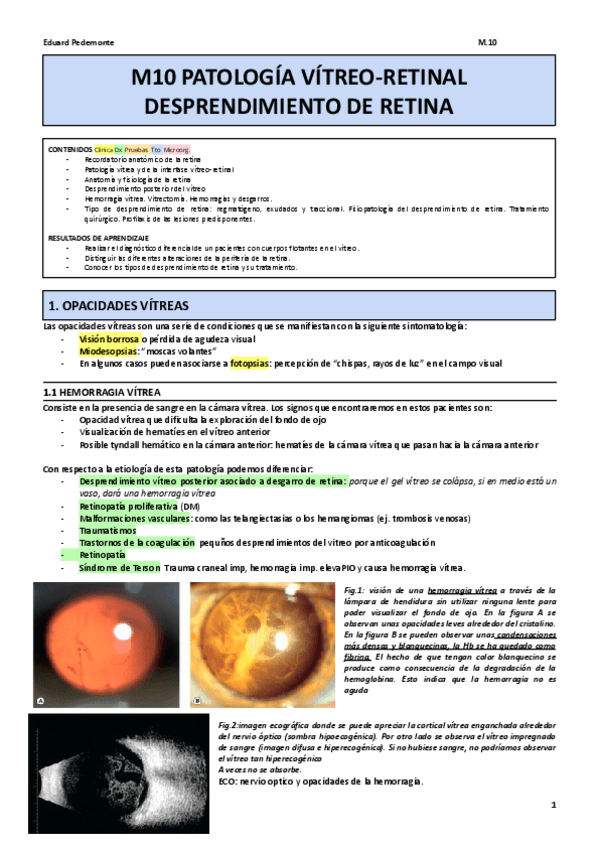 Miniatura del documento M10.pdf