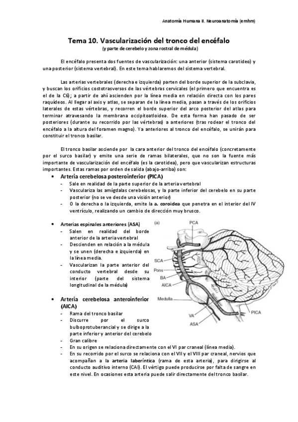 Miniatura del documento T10. Vascularización del tronco del encéfalo.pdf