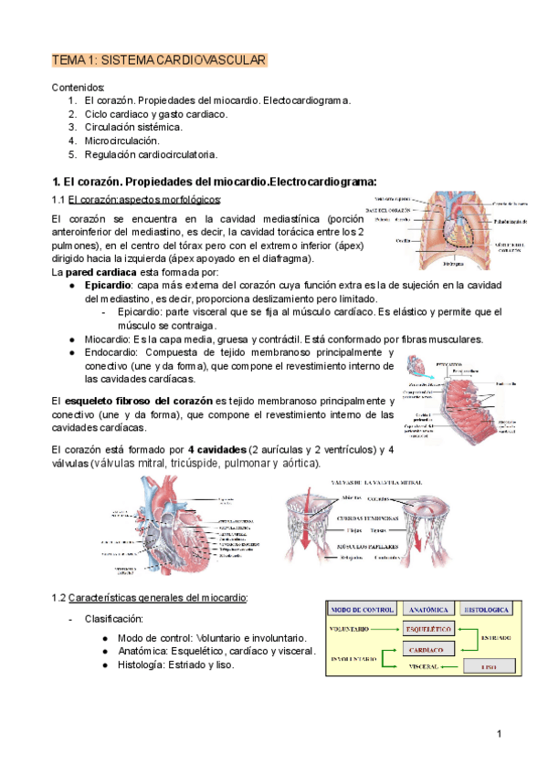 Miniatura del documento TEMA-1-SISTEMA-CARDIOVASCULAR.pdf