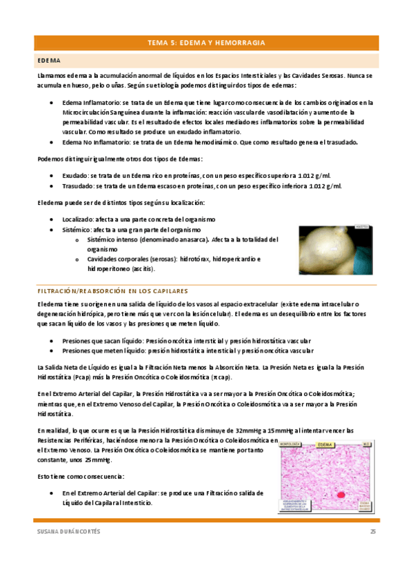 Miniatura del documento Documento-114removed-6.pdf