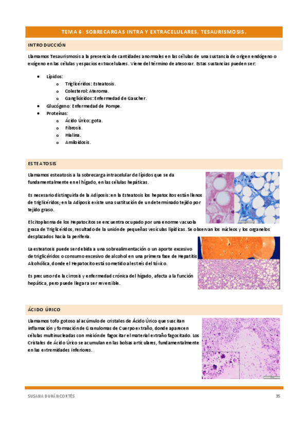 Miniatura del documento Documento-114removed-7.pdf