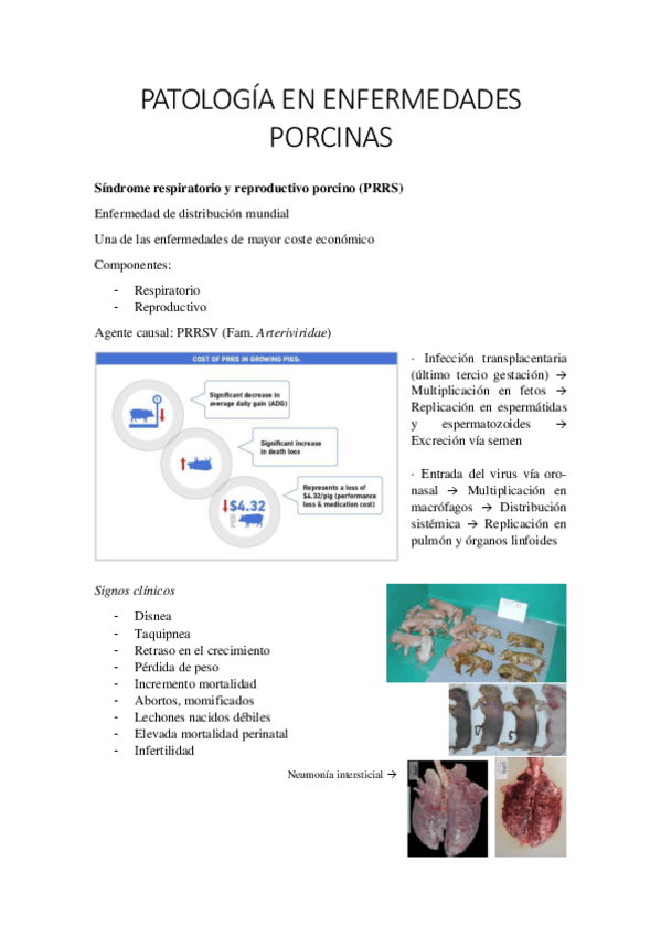 Miniatura del documento MALALTIES-PER-ESPECIES.pdf