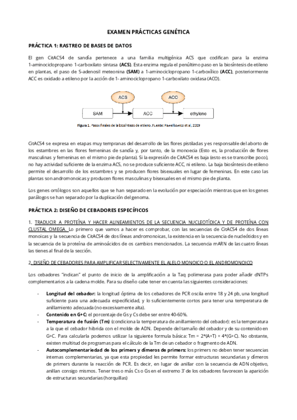 Miniatura del documento EXAMEN-PRACTICAS-GENETICA.pdf