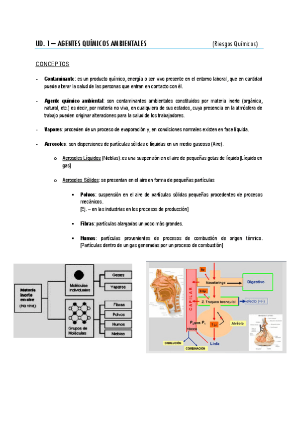 Miniatura del documento UD-1-RQA.pdf