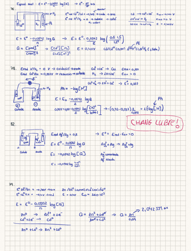Miniatura del documento Nerst-Classe.pdf