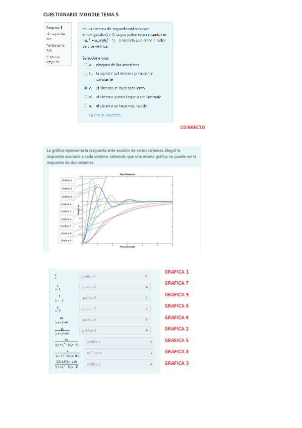 Miniatura del documento CUESTIONARIOS.pdf