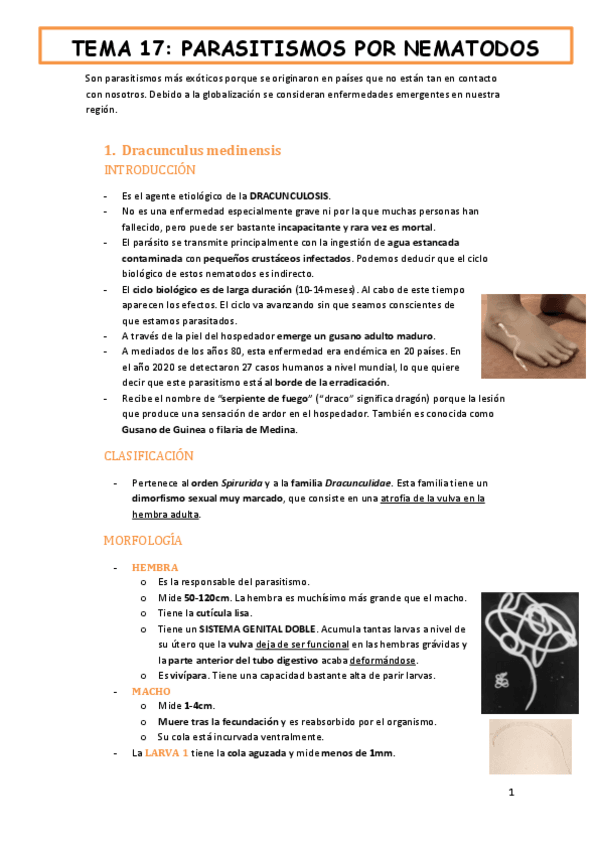 Miniatura del documento tema-17-fauna-y-salud-PARASITISMOS-POR-NEMATODOS.pdf