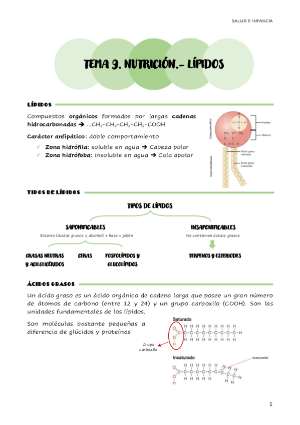 Miniatura del documento TEMA-9.pdf