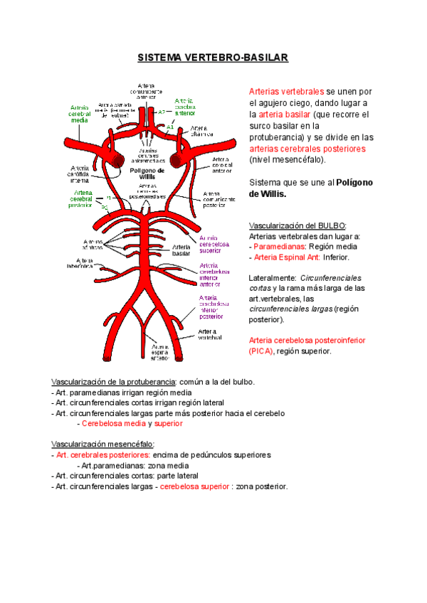 Miniatura del documento SISTEMA-VERTEBRO-BASILAR.pdf