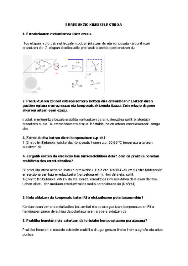 Miniatura del documento galdetegia-1.-praktika.pdf