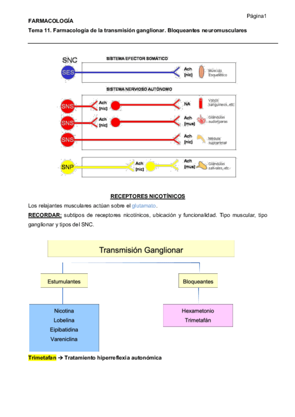 Miniatura del documento Relajantes-musculares.pdf