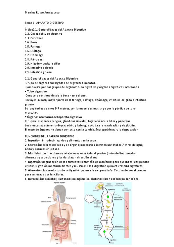 Miniatura del documento Tema-6-Ap-digestivo.pdf