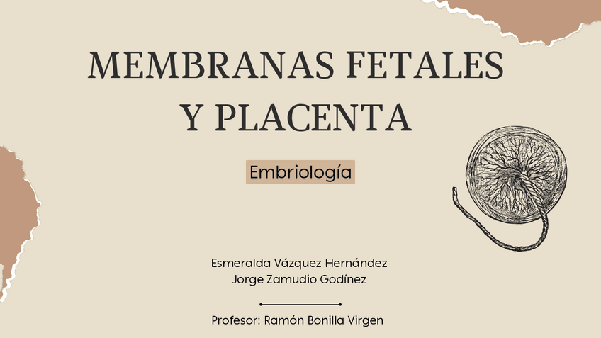 Miniatura del documento Membranas fetales y placenta