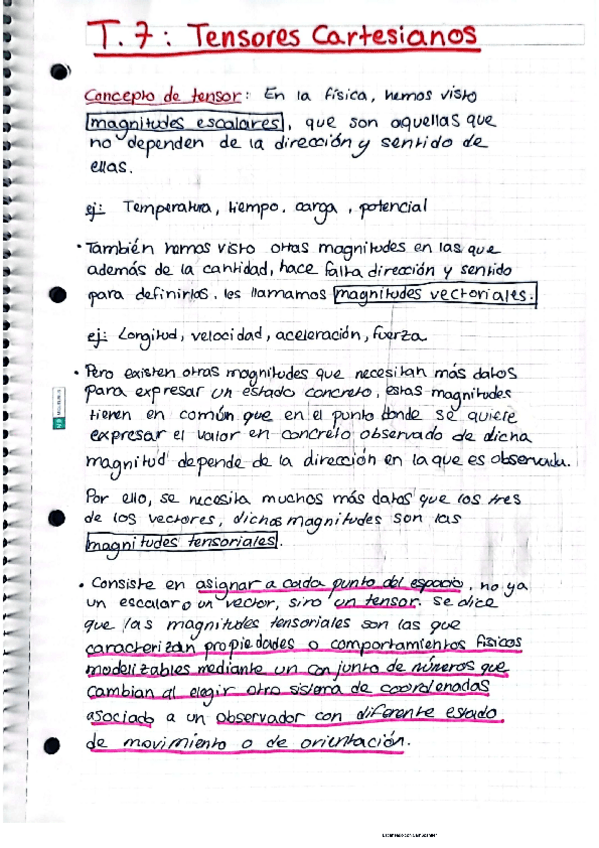 Miniatura del documento T.7-TENSORES-CARTESIANOS.pdf