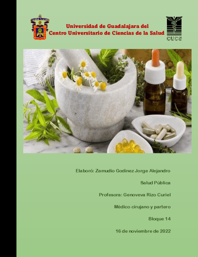 Miniatura del documento Practicas alternativas en la medicina