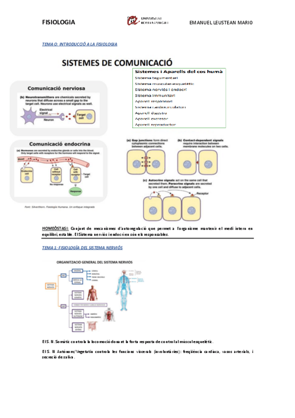 Miniatura del documento Fisiologia-SISTEMA-NERVIOS.pdf