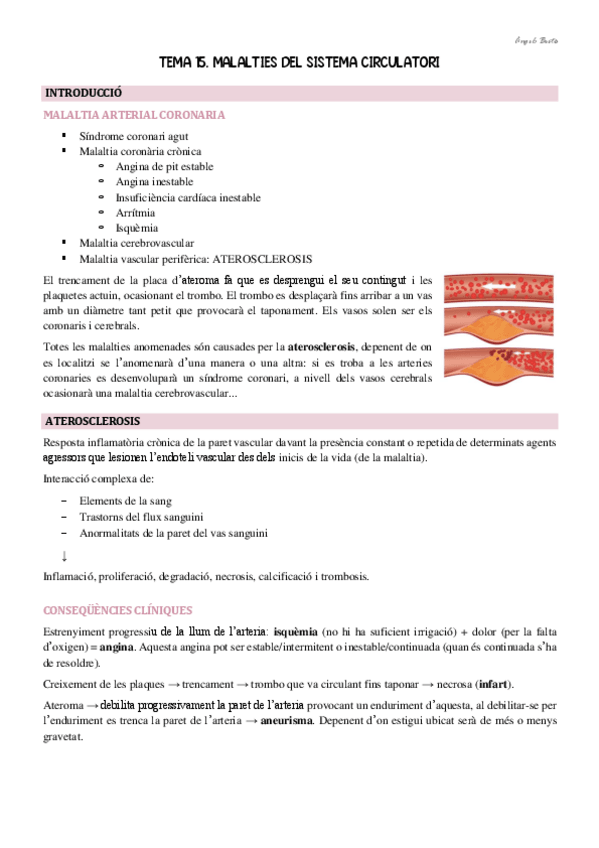 Miniatura del documento Tema-15.pdf