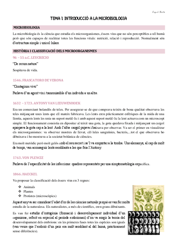 Miniatura del documento Tema 1.pdf