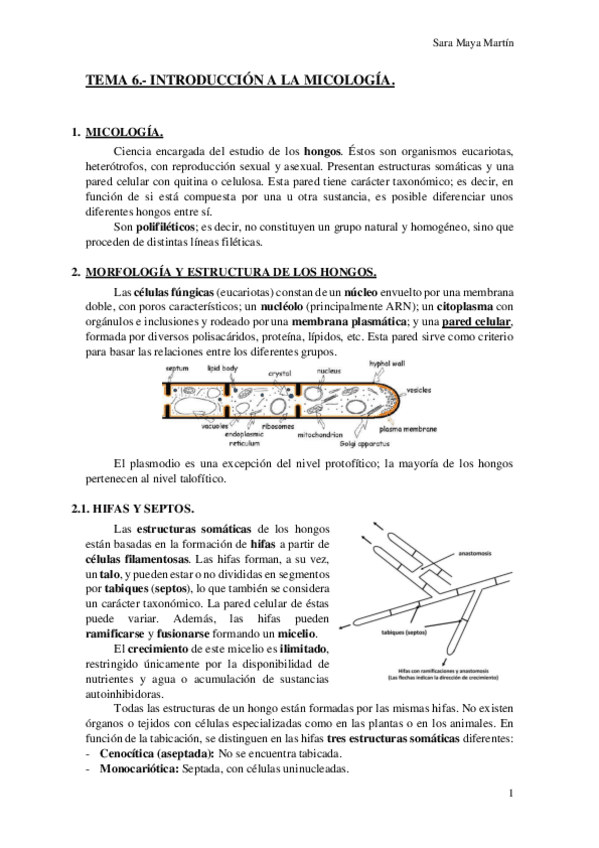 Miniatura del documento TEMA 6.- INTRODUCCIÓN A LA MICOLOGÍA..pdf