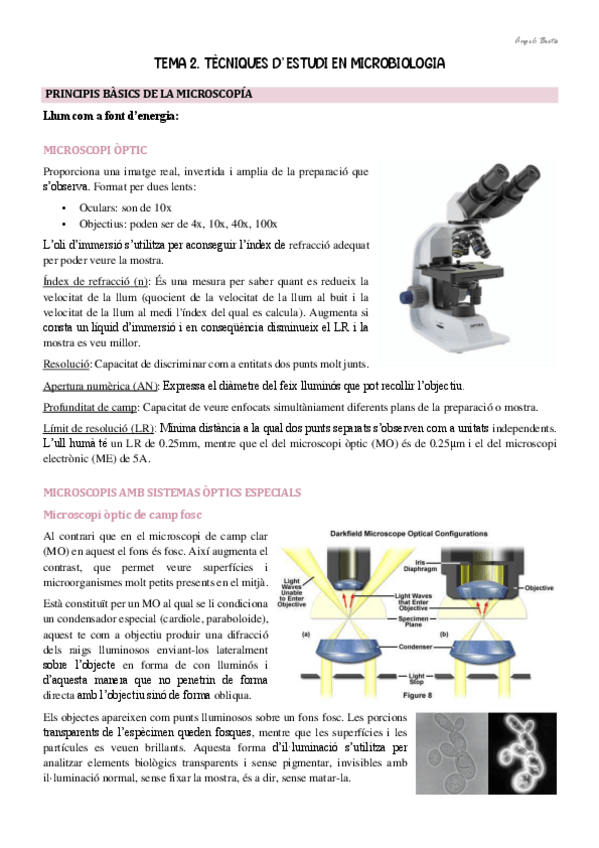 Miniatura del documento Tema 2.pdf